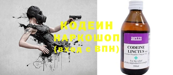 прущие крисы Ельня