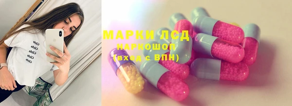 прущие крисы Ельня