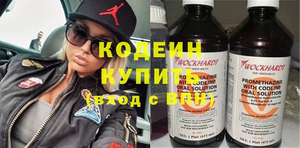 прущие крисы Ельня