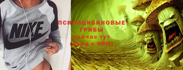 прущие крисы Ельня