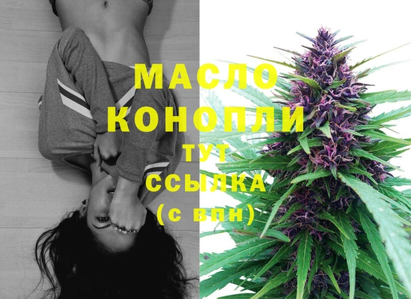 прущие крисы Ельня