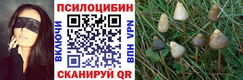 Галлюциногенные грибы ЛСД  Калач 
