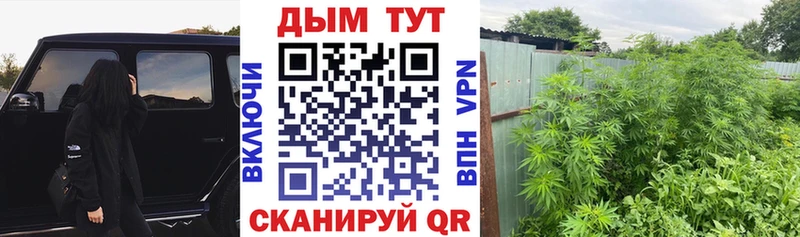 Шишки марихуана марихуана купить наркотик Калач